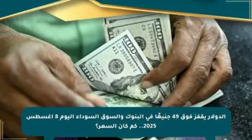 الدولار يقفز فوق 49 جنيهًا في البنوك والسوق السوداء اليوم 8 أغسطس 2025.. كم كان السعر؟